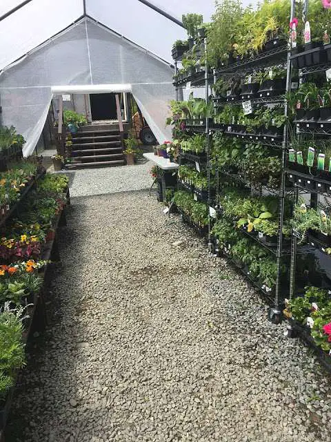 Grow With Us Garden Supply